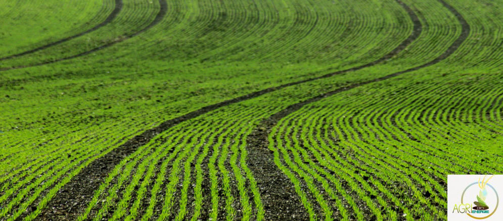 Agri Bio �nergie � etreville