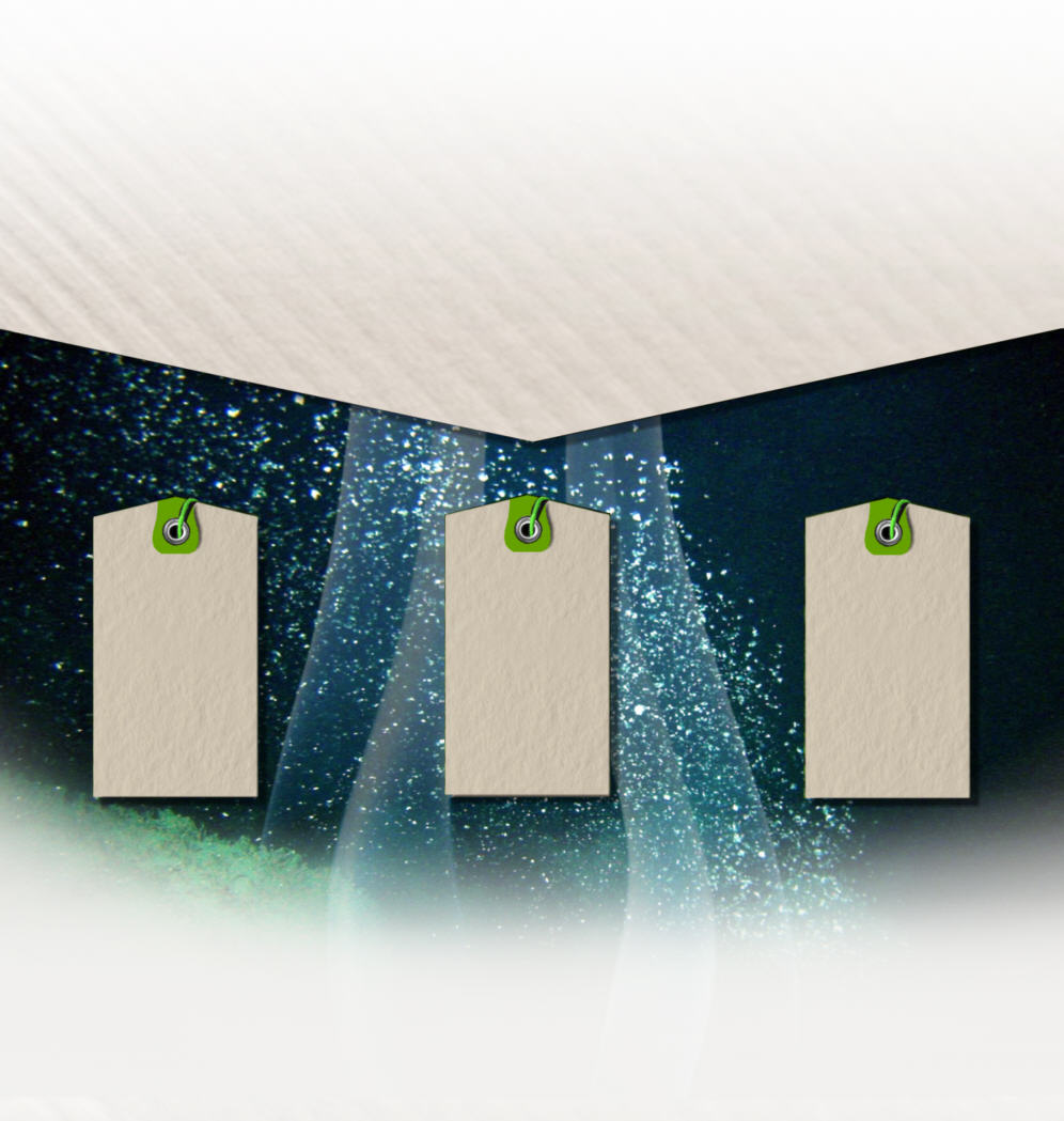 production de biogaz chez agri bio &eacute;nergie &agrave; Etreville dans l'Eure