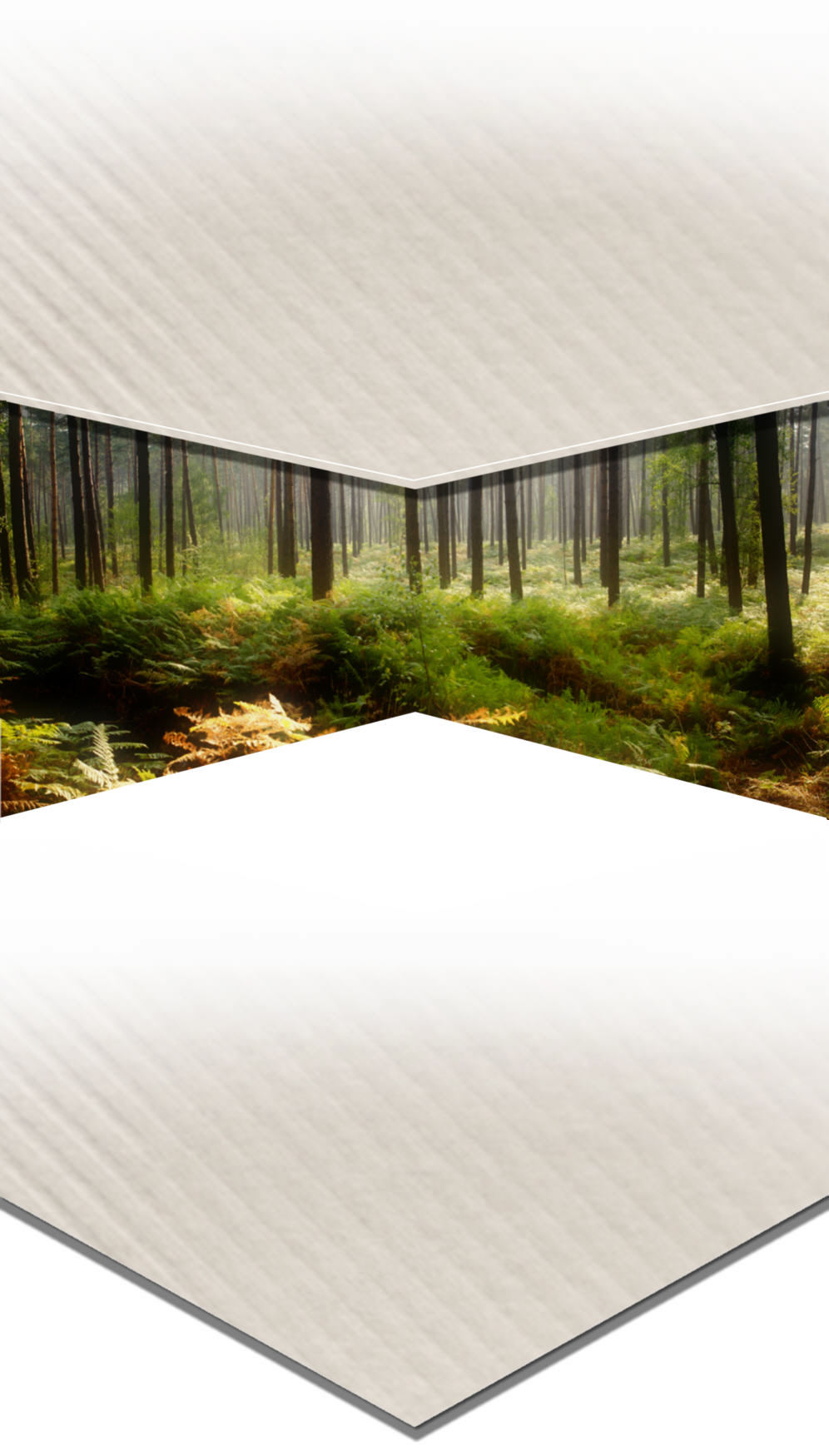 l'&eacute;conomie circulaire et le principe de m&eacute;thanisation